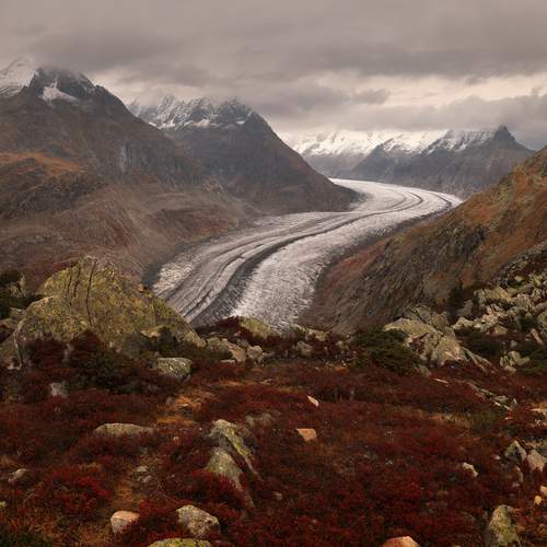 Photo #13155438