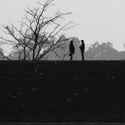 Photo #13155496