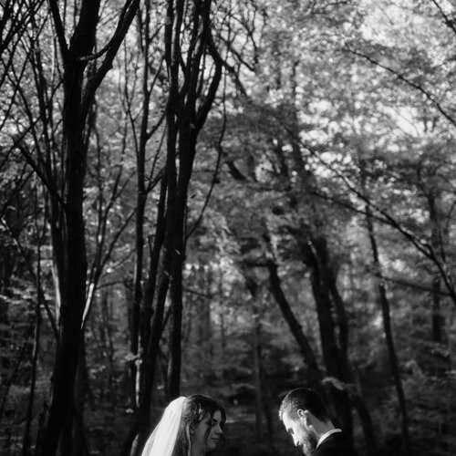 Photo #13155649