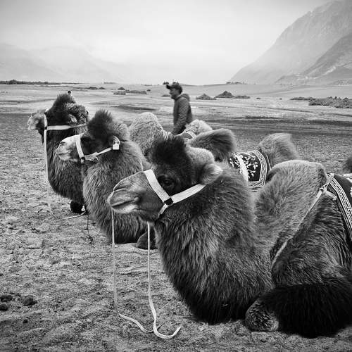 Photo #13155660