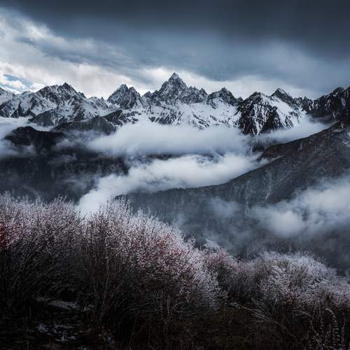 Фотография #13155662