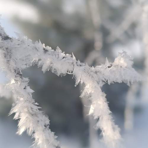 Photo #13155783