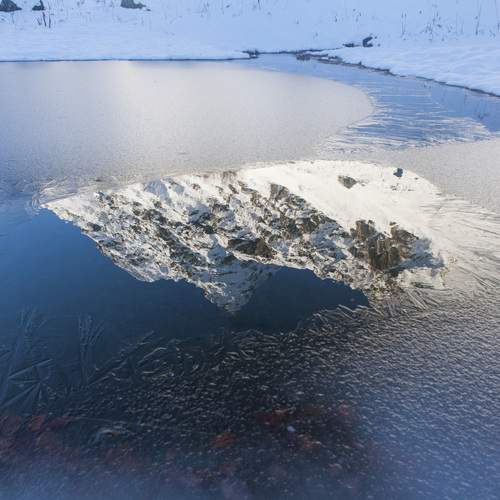 Photo #13155794