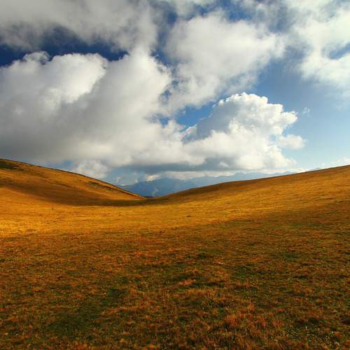 Photo #13155824