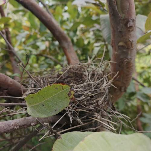 Photo #13155856