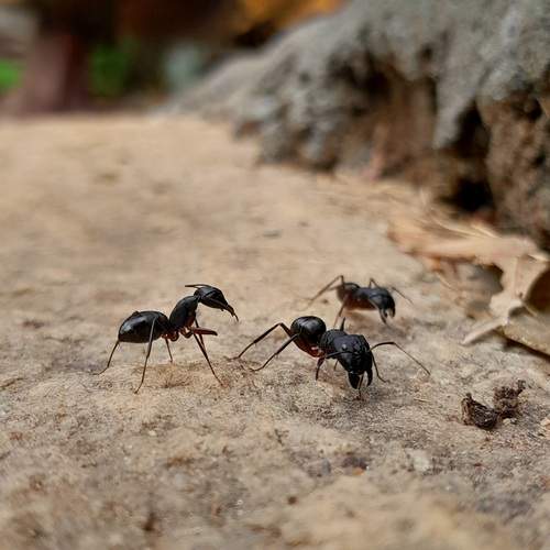 Photo #13155944