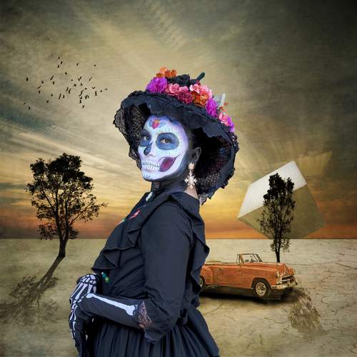 Photo #13156010