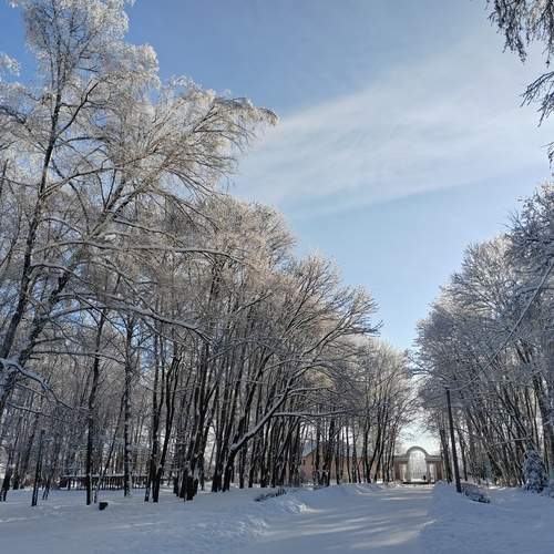 Photo #13156027