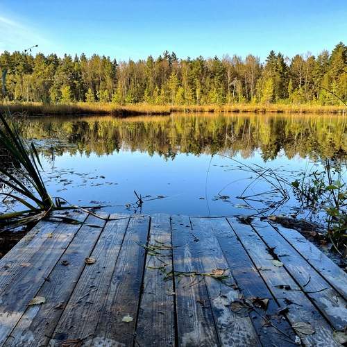 Photo #13156055