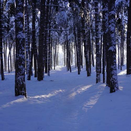 Photo #13156073