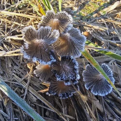 Photo #13156080