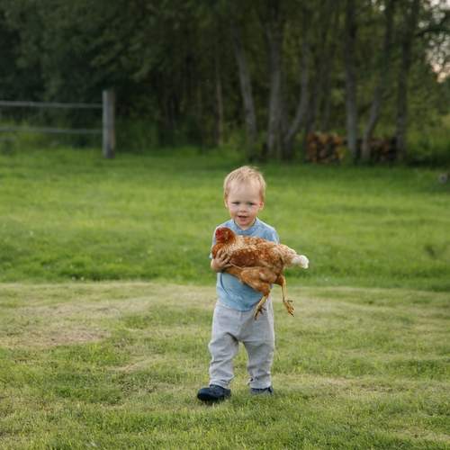 Photo #13156126