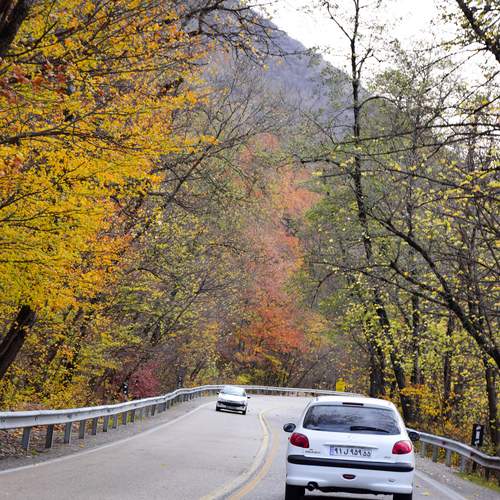 Photo #13156174