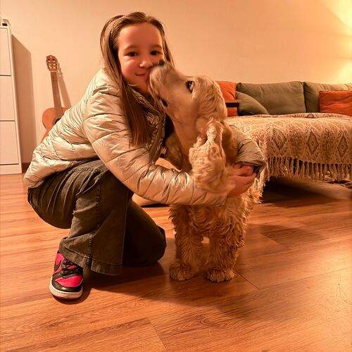 Photo #13156206