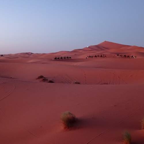 Photo #13156224
