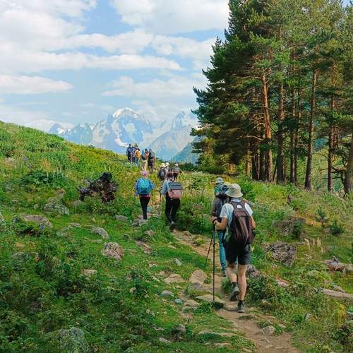 Photo #13156281