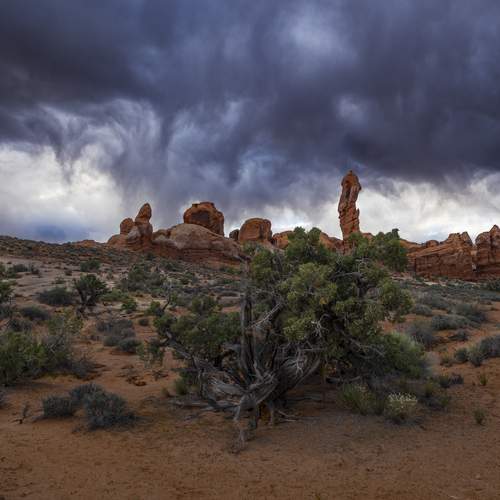 Photo #13156426