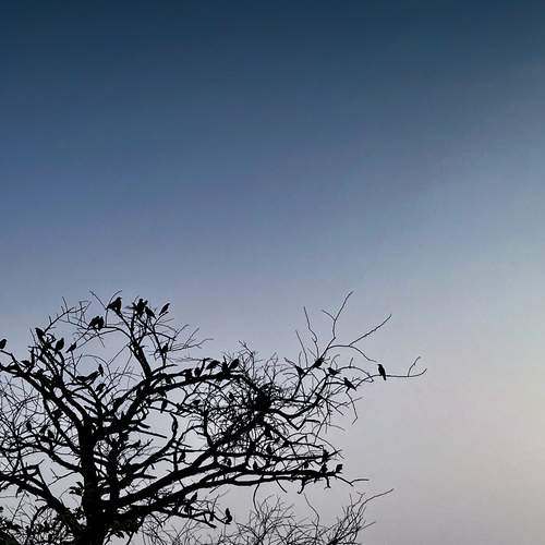 Photo #13156533
