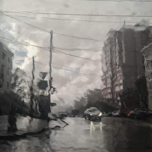 Photo #13156535