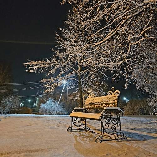 Photo #13156654