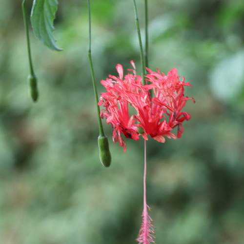 Photo #13156754
