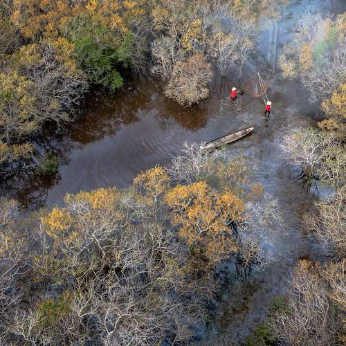 Photo #13157031