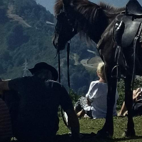 Photo #13157044