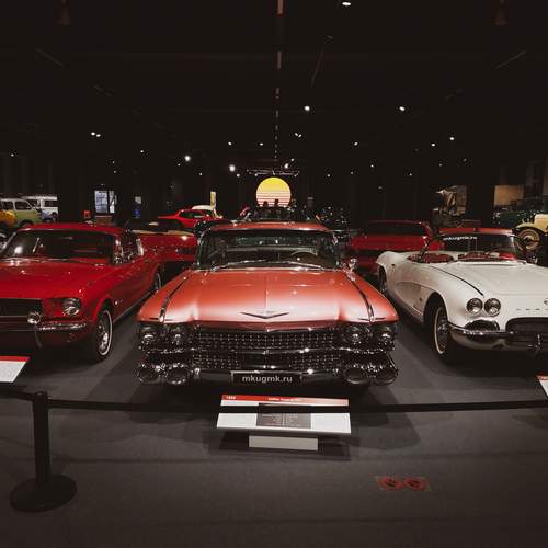 Photo #13157072