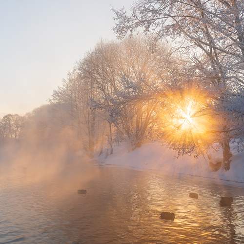 Photo #13157111