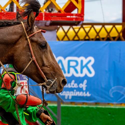 Photo #13157119