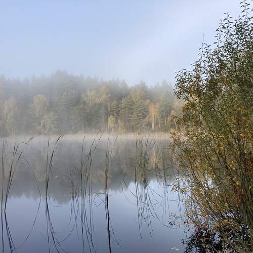 Photo #13157202