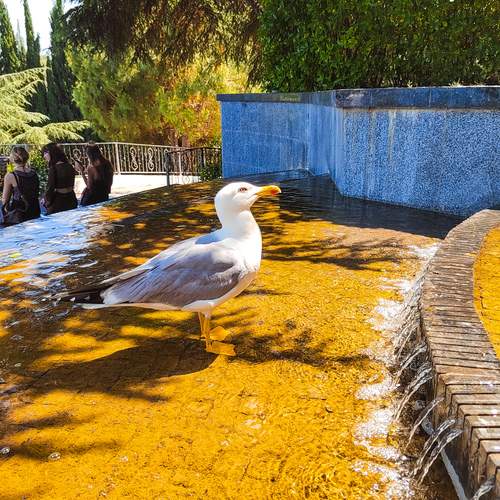 Photo #13157224