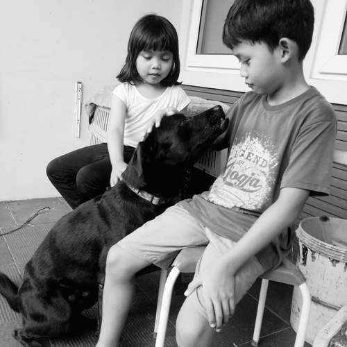plays with Maxy