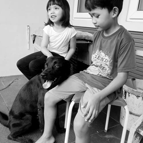 playing with Maxy