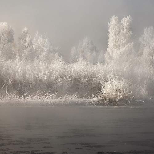 Фотография #13157322