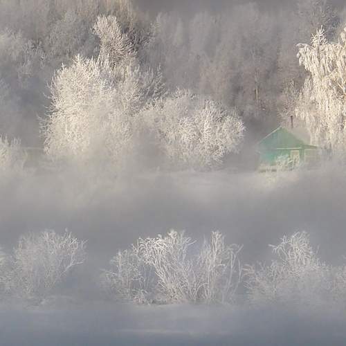 Фотография #13157323