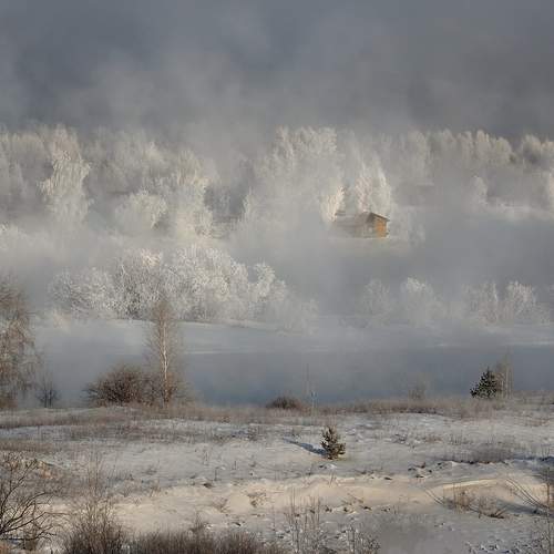 Фотография #13157325