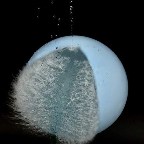 Photo #13157514