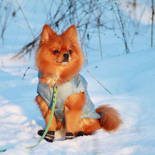 Photo #13157605