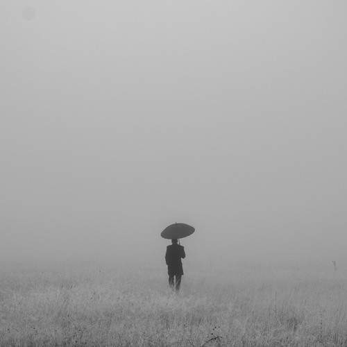 Photo #13157651