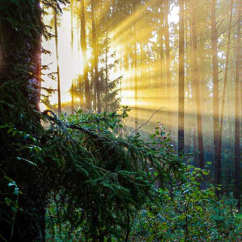 Photo #13157656