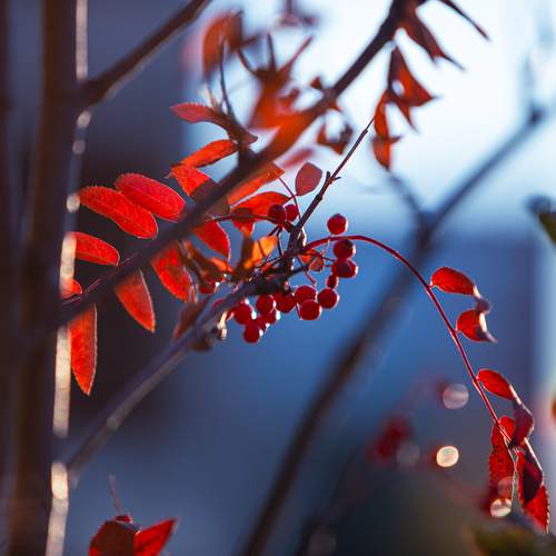 Photo #13157752