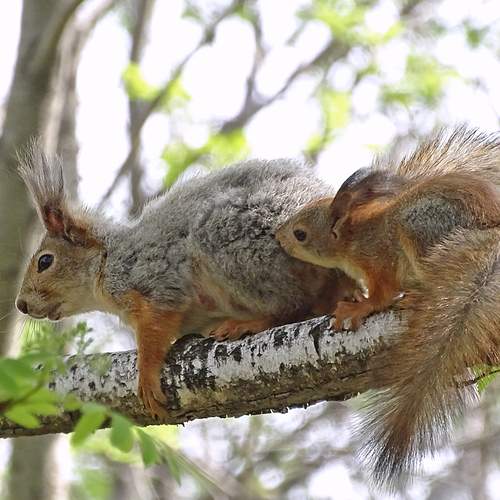Photo #13157765