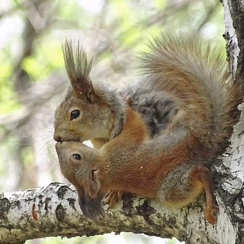 Photo #13157767