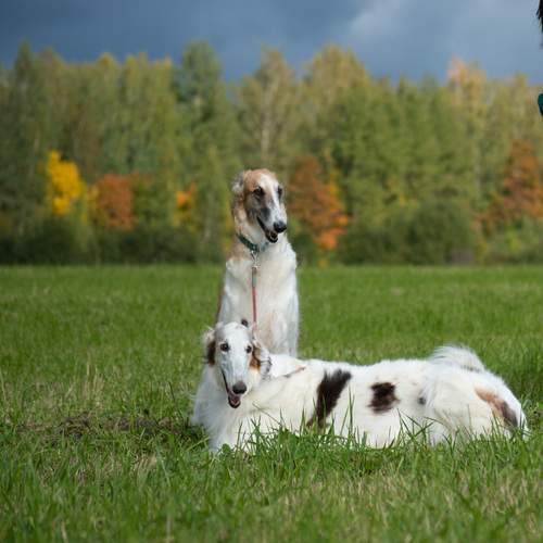 Photo #13157807