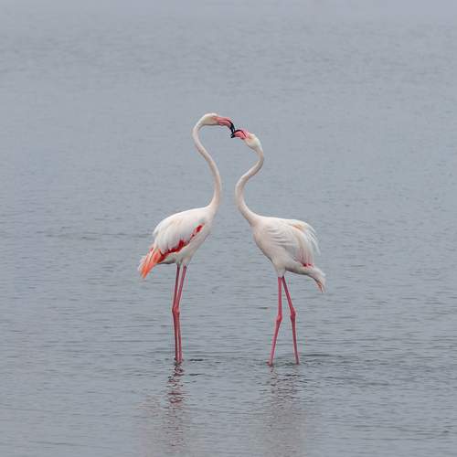 Photo #13157853