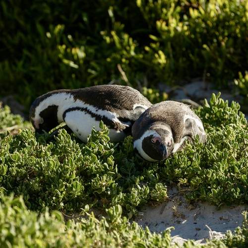 Photo #13157902
