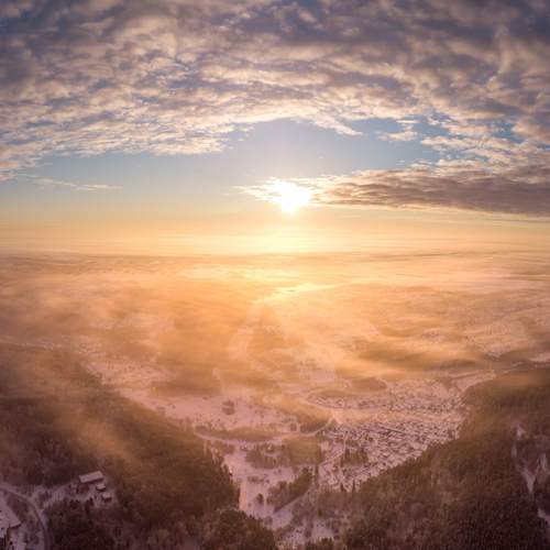 Photo #13157996