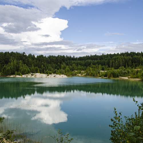 Photo #13158011