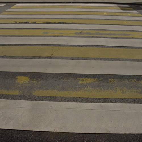 Photo #13158038